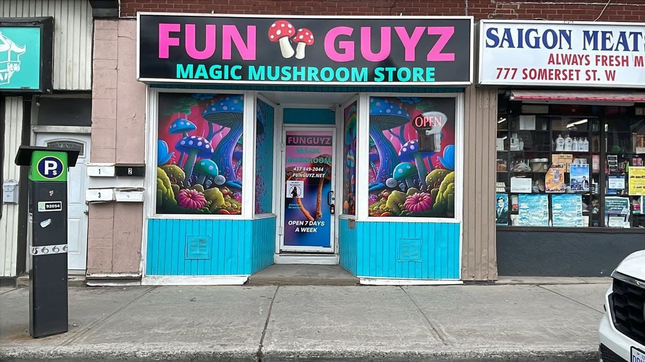 fun guyz magic mushroom ottawa