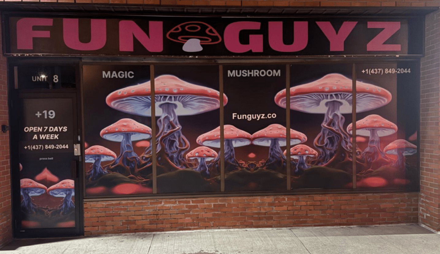 fun-guyz-shrooms-north-york shrooms dispensary north york