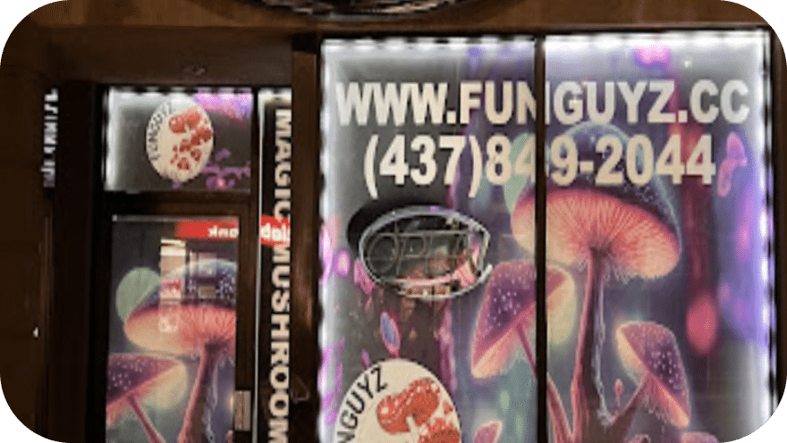 magic-mushrooms-in-detroit